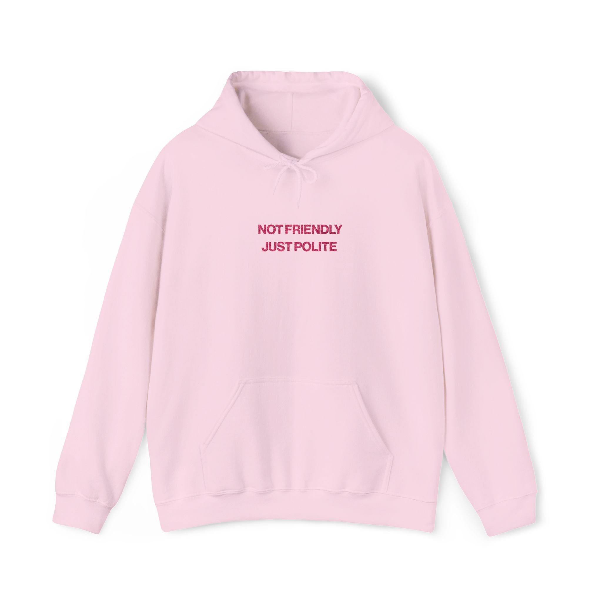 Not Friendly, Just Polite Hoodie