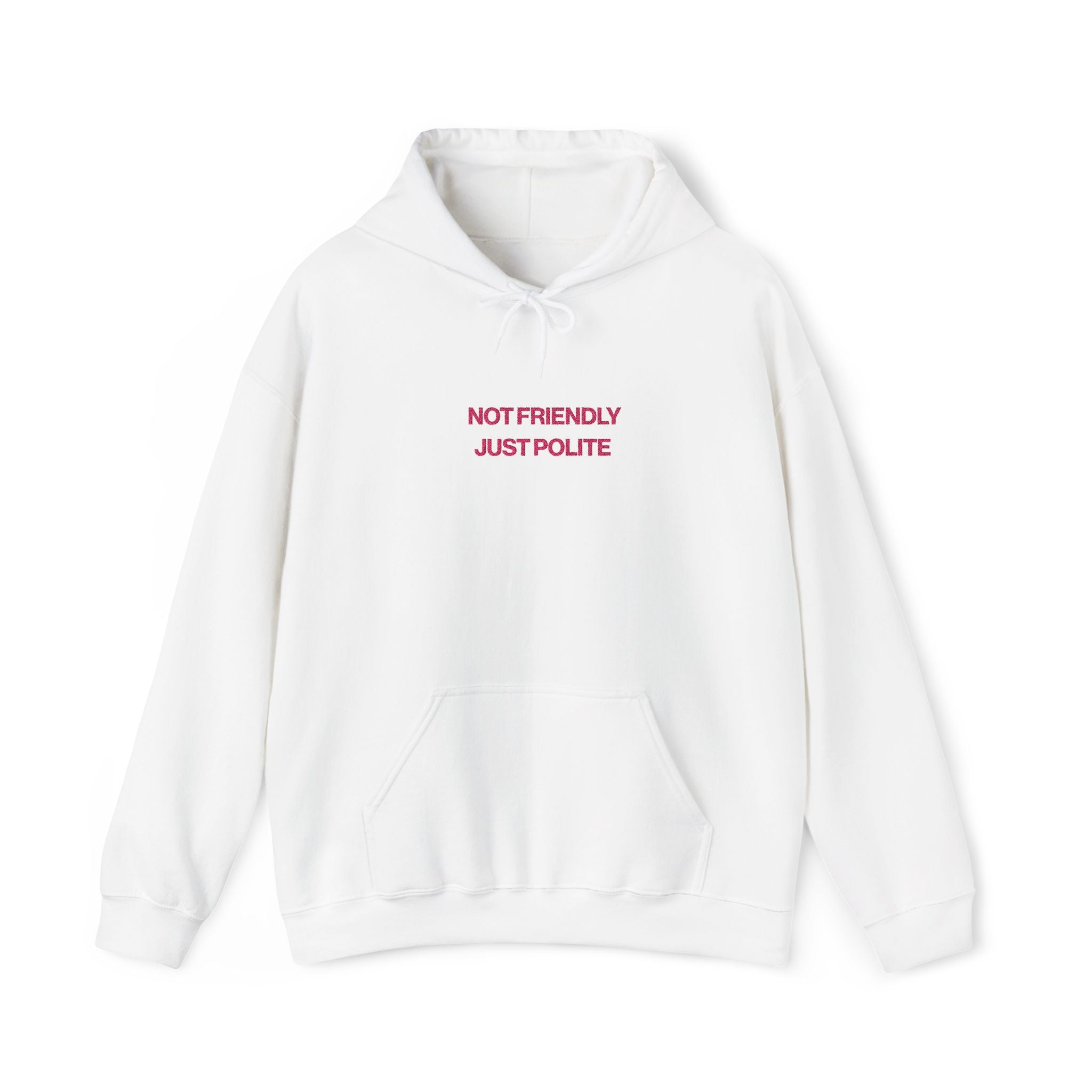 Not Friendly, Just Polite Hoodie