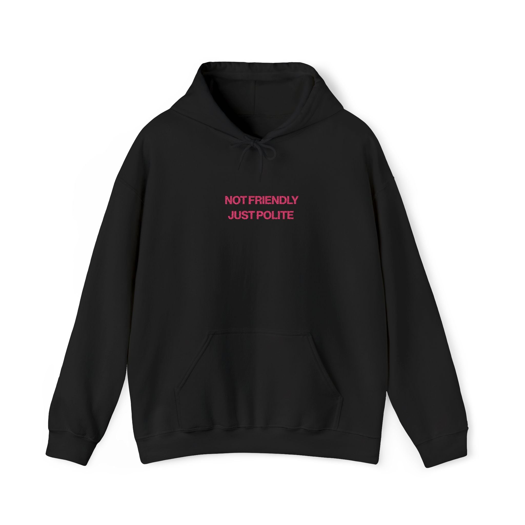 Not Friendly, Just Polite Hoodie
